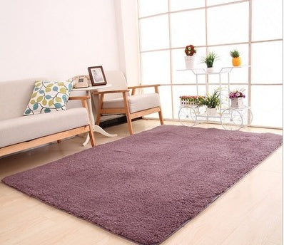 Plush Carpet for Living Room & Bedroom