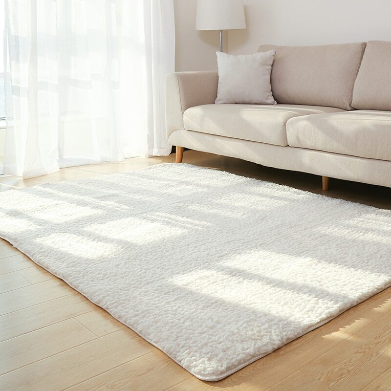 Plush Carpet for Living Room & Bedroom
