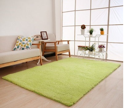 Plush Carpet for Living Room & Bedroom