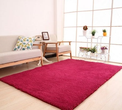 Plush Carpet for Living Room & Bedroom